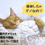 昼寝は絶対ダメ？昼寝のデメリット・眠気の理由・対処法について紹介
